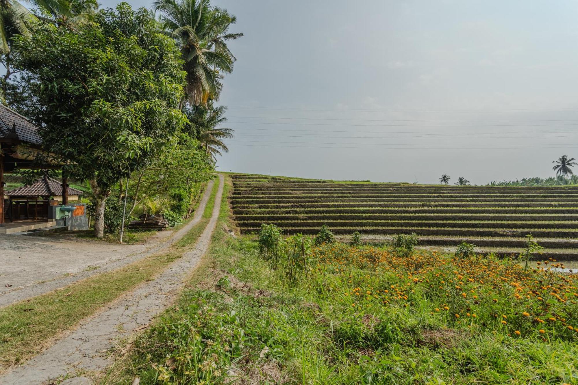 Pondok Hari Baik Balian Exteriér fotografie